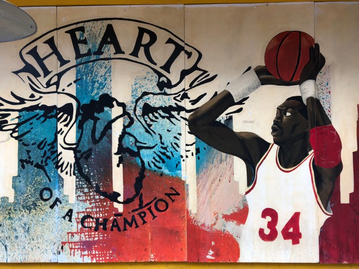 heartofchampion